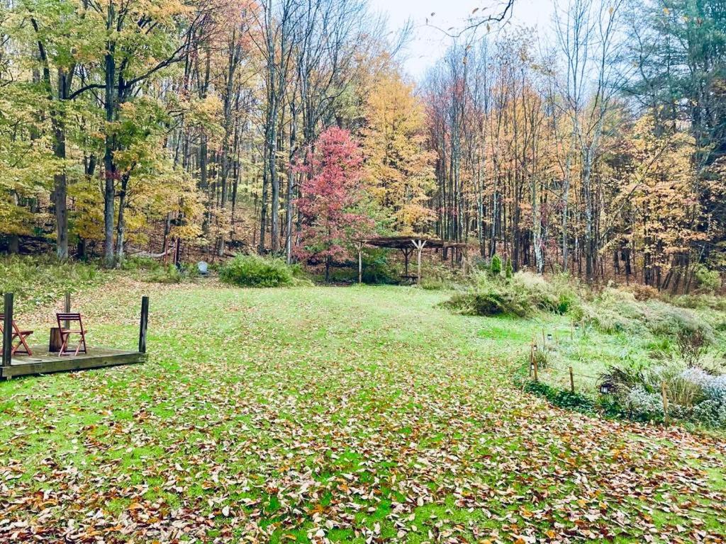 Cozy Cottage With Jacuzzi And Fire Pit And Reading Nook! Livingston Manor Экстерьер фото